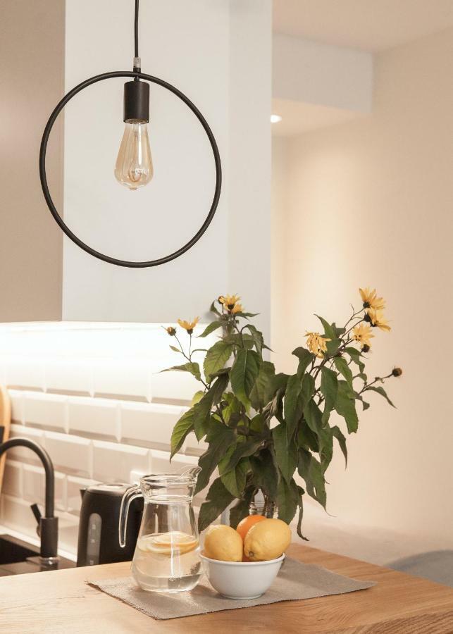 New Scandinavian Style Apartment In Nida Eksteriør billede