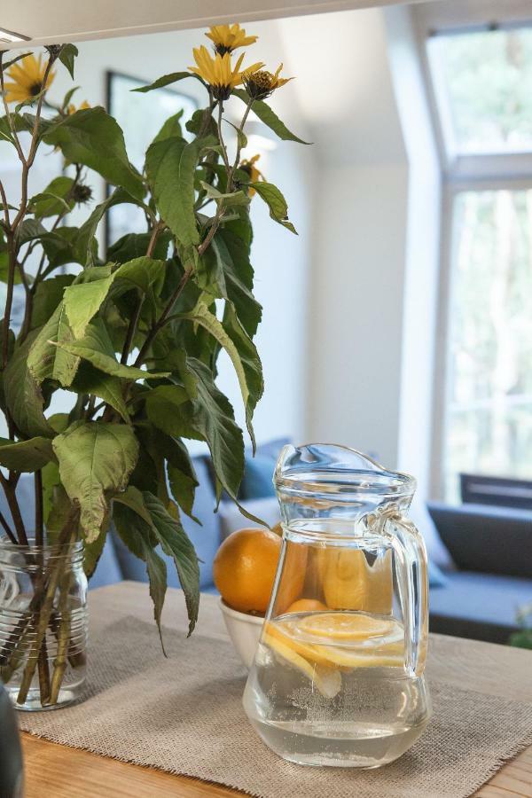 New Scandinavian Style Apartment In Nida Eksteriør billede
